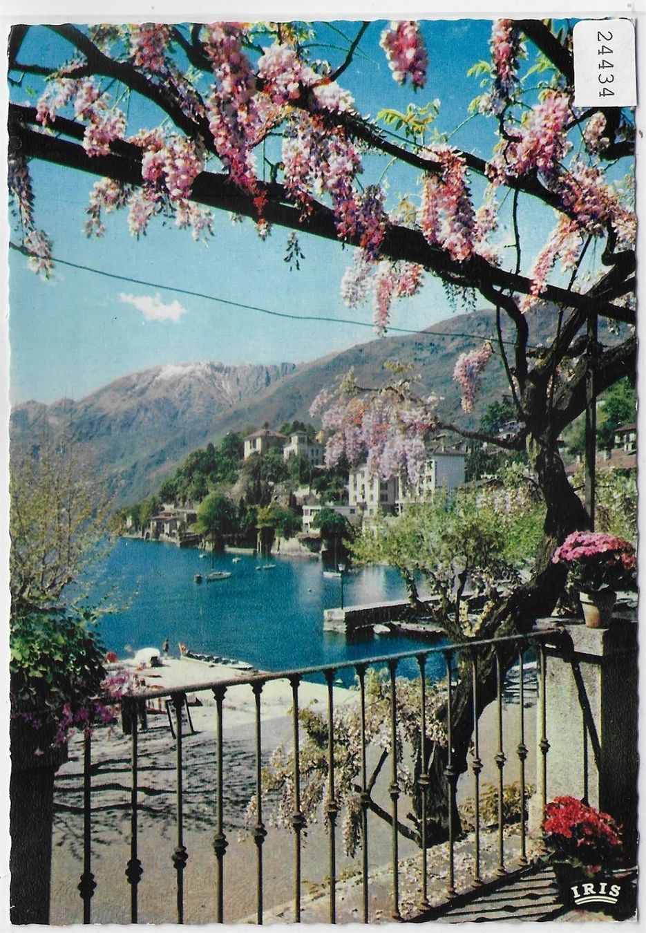 Cartoline postali: Ascona - Collina S. Michele – Antico da Ettingen venduto da Kartenplanet