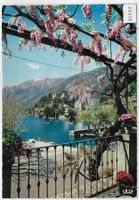 Ascona - Collina S. Michele