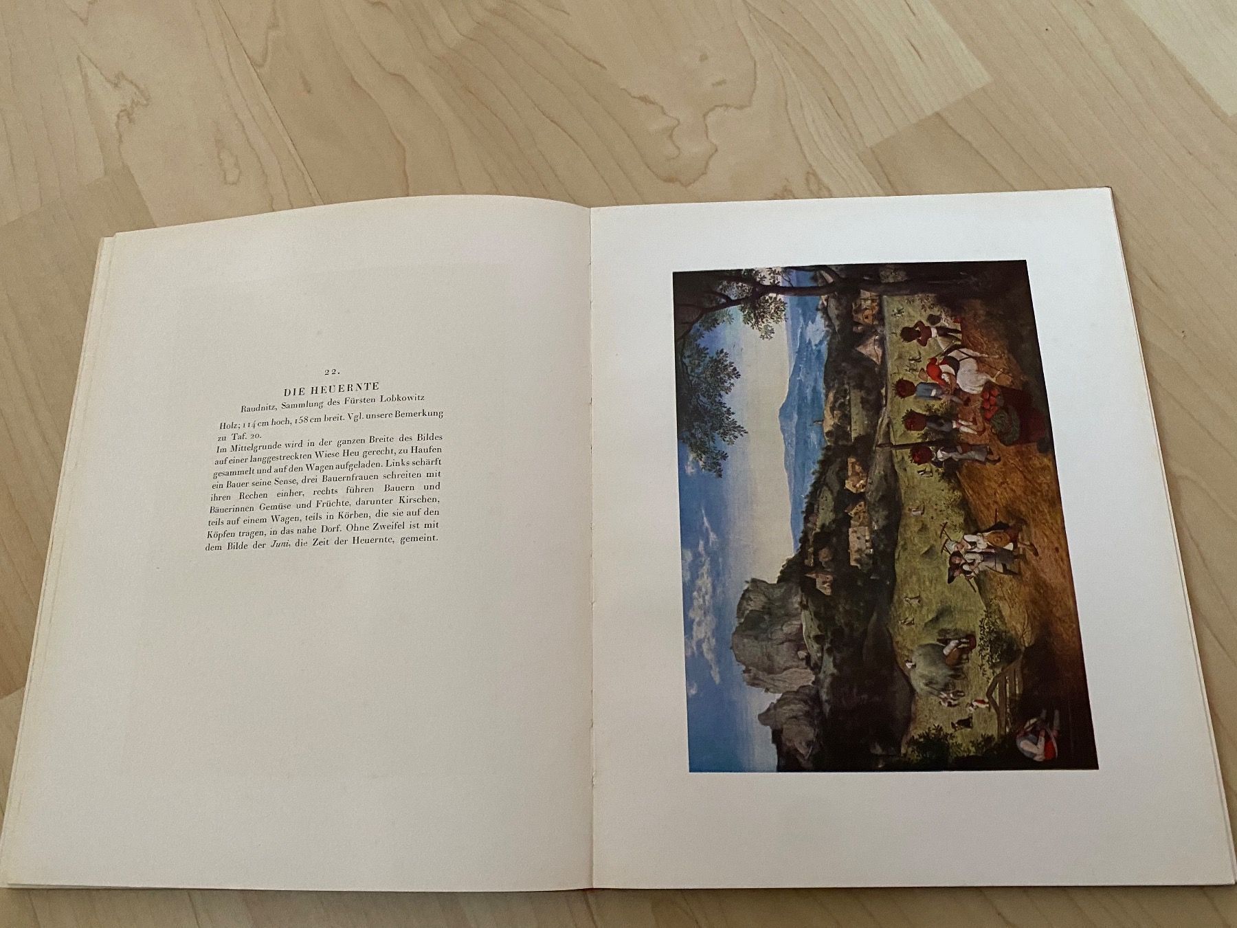 Libri: Das Bruegel Buch – Usato da Luzern venduto da Harikan 7