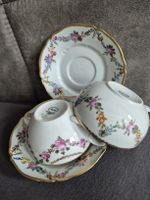 2 Handbemalte Tasse & Untertasse Set, Rosenmuster, Vintage