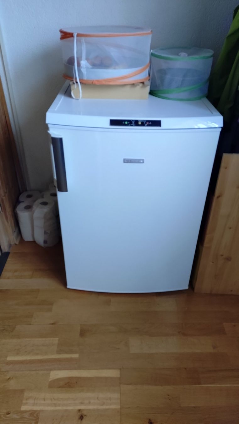 Congelatori: Gefrierschrank Electrolux EUT6256 – Usato da Ostermundigen venduto da ste-70