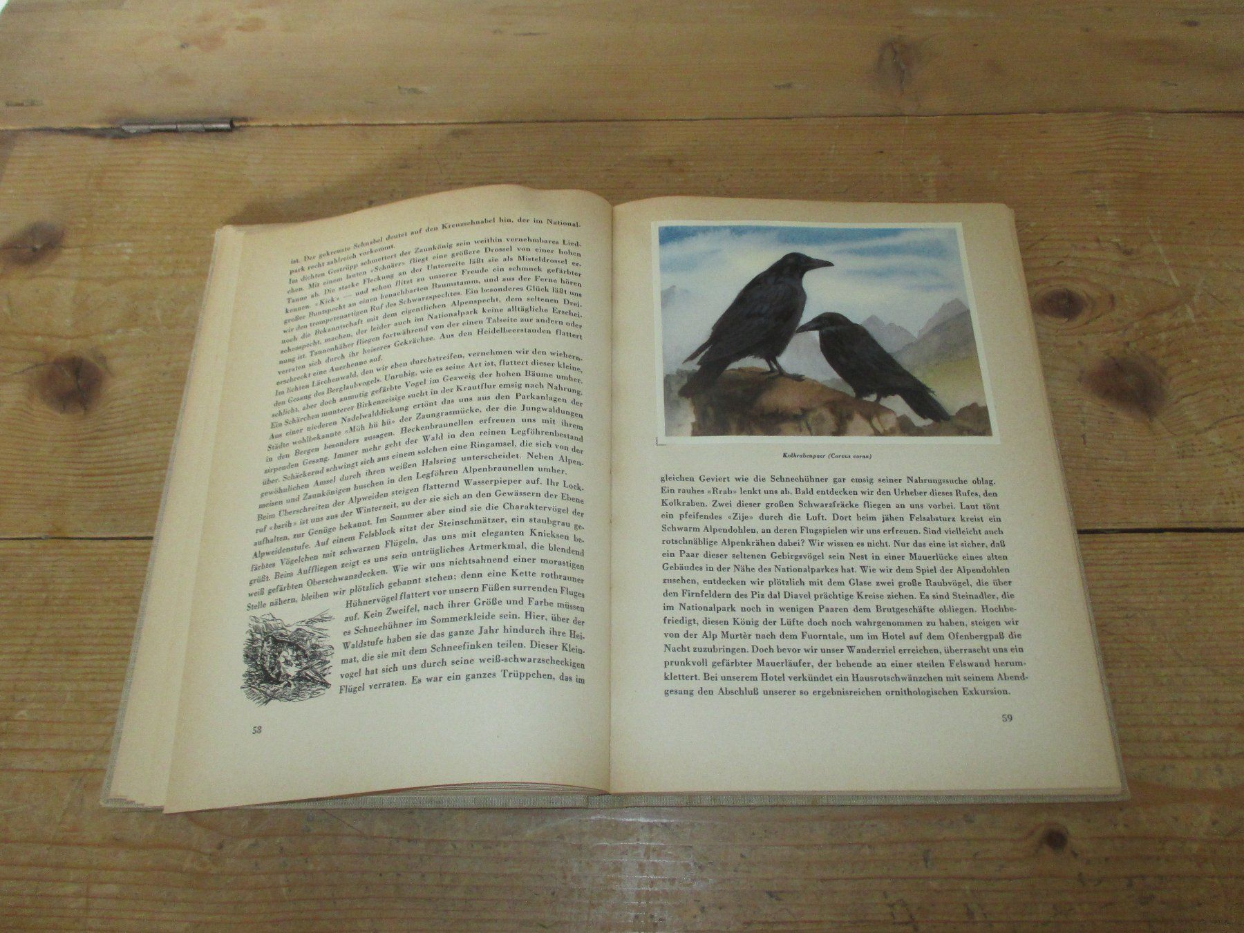 Libri: Der Schweizerische Nationalpark 1949 – Usato da Flims - Dorf venduto da Stagediver 7