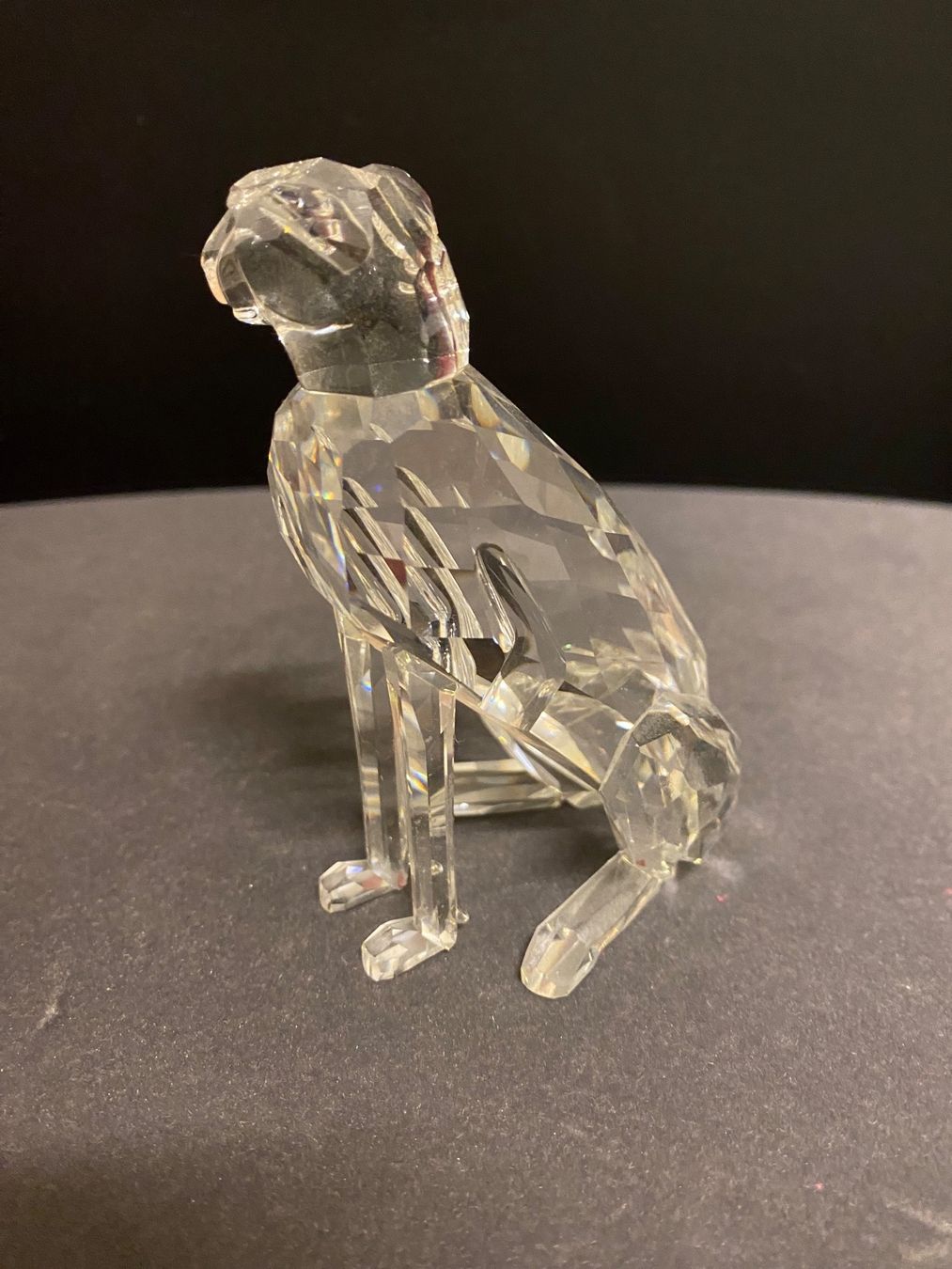 Swarovski Figuren: Cheetah 1994 - Swarovski Figur – Gebraucht aus Zürich von Manuel.Huber 3