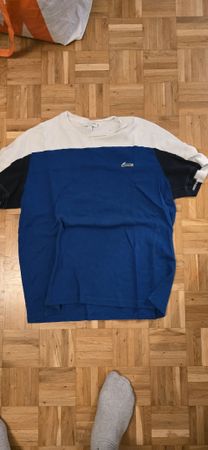 t-shirt lacoste taille 7 - 2xl