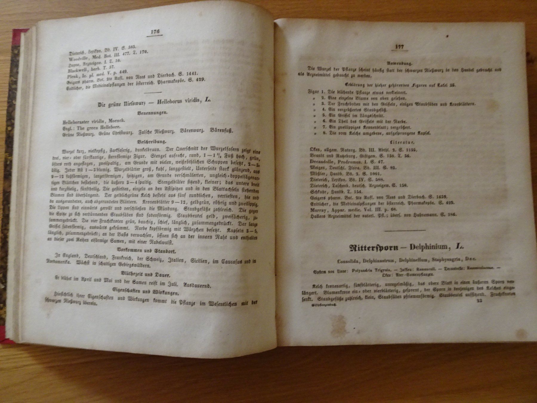 Libri: Giftpflanzenbuch Giftgewächse Berge & Riecke 1855 – Usato da Siebnen venduto da niki61 2
