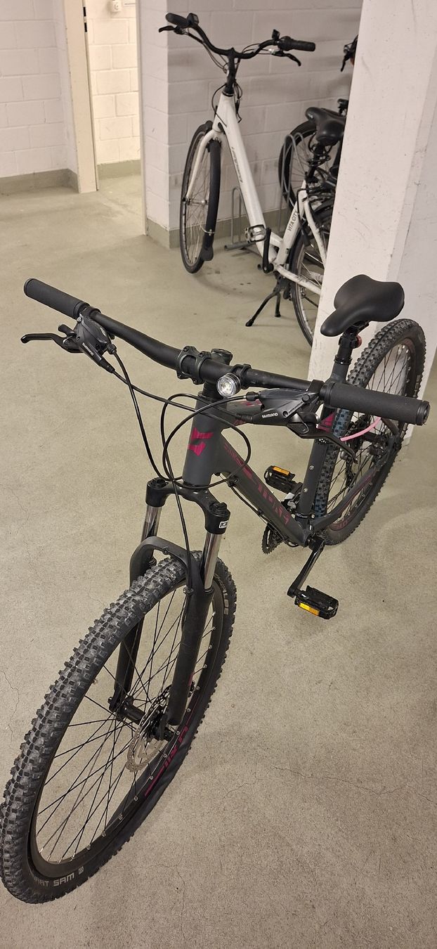 Stoke Velos: Damen Mountainbike von Stoke – Defekt aus Weinfelden von Fun52 1