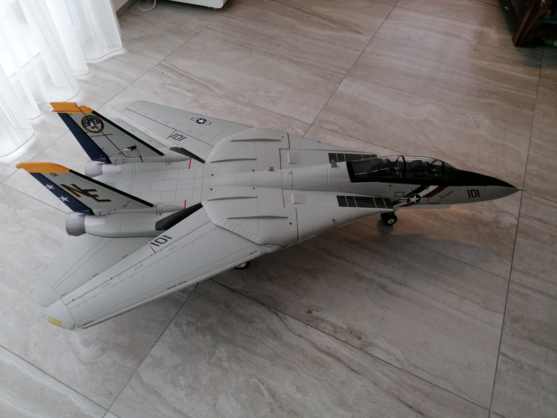 RC Modellbau: Freewing F14 Tomcat – Gebraucht aus Rorschacherberg von  1