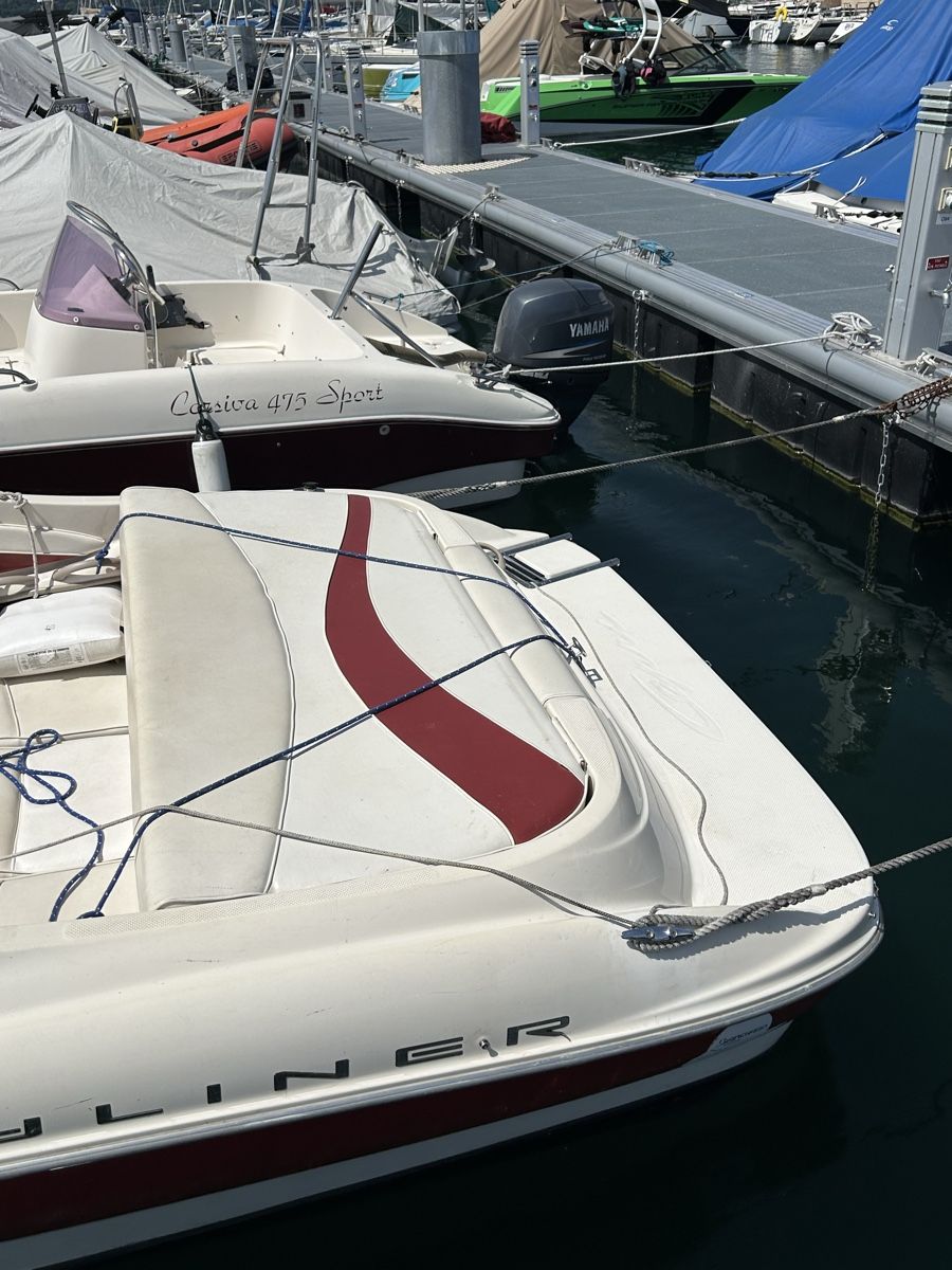 Bayliner Barche: Bayliner 195 – Usato da Thonex venduto da jga_q5tz 1