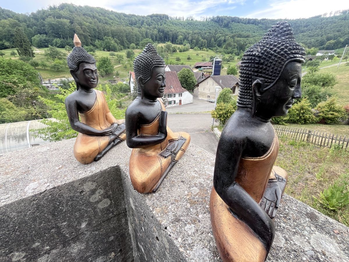 Sculture & Statue: 3 handgeschnitzte Holz-Buddhas aus Kambodscha – Nuovo (secondo la descrizione) da Büsserach venduto da Cabstardwarf3 3