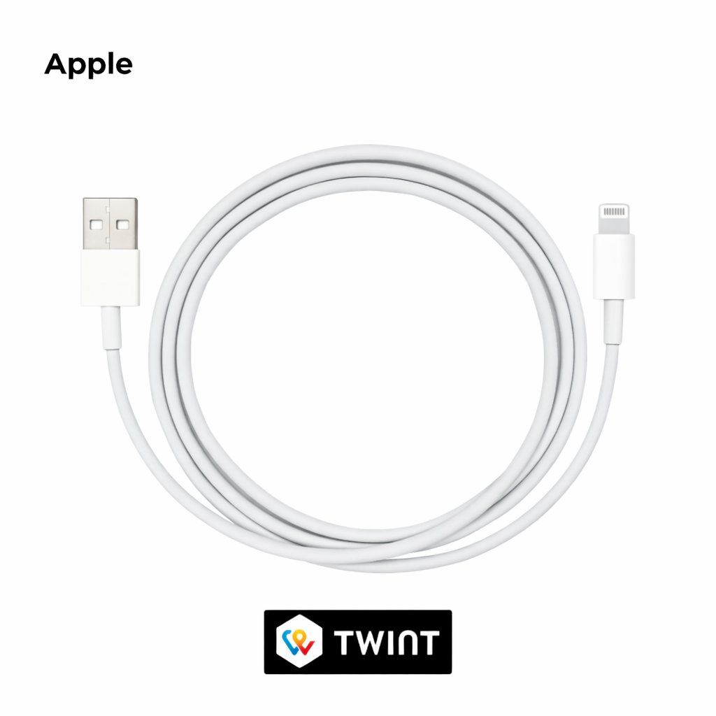 Apple Cavi: Apple - (1m) iPhone X Lightning USB Ladekabel – Nuovo e nell'imballaggio originale da Luzern venduto da Waince786