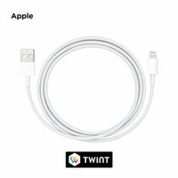 Apple - (1m) iPhone X Lightning USB Ladekabel