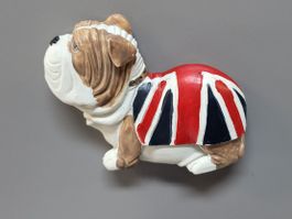 Britischer Bulldogge Magnet