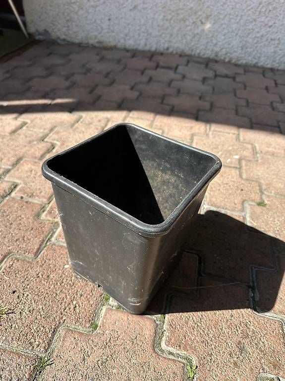 Pots de fleurs: Plastikpflanztöpfe – D'occasion à Azmoos par Hschafknecht 4