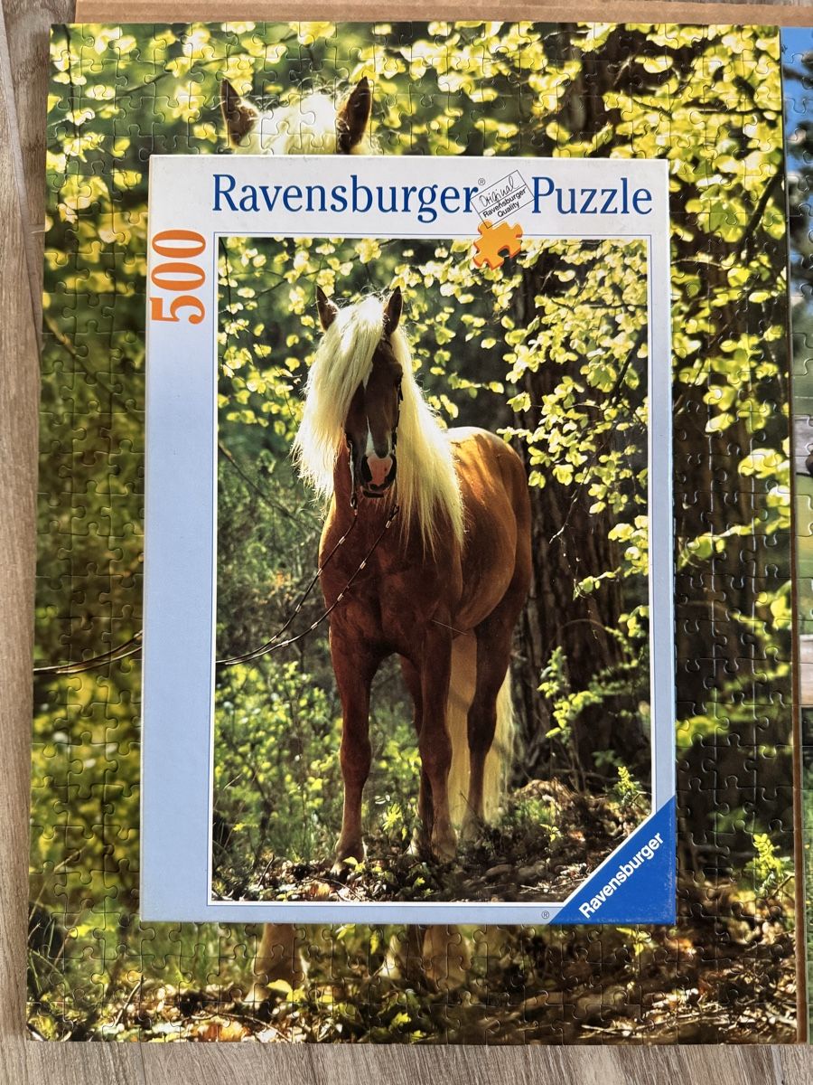 Ravensburger Puzzles: Ravensburger Puzzle, 500 Teile, komplett – Gebraucht aus Stadel von nicibaer08 1