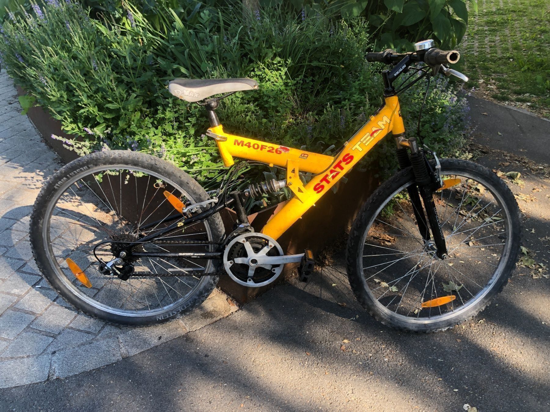 Velos: Mountainbike Stats Team – Gebraucht aus Schlieren von Flower5