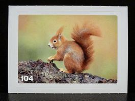 MIGROS MANIA Nature Detectives Nr. 104