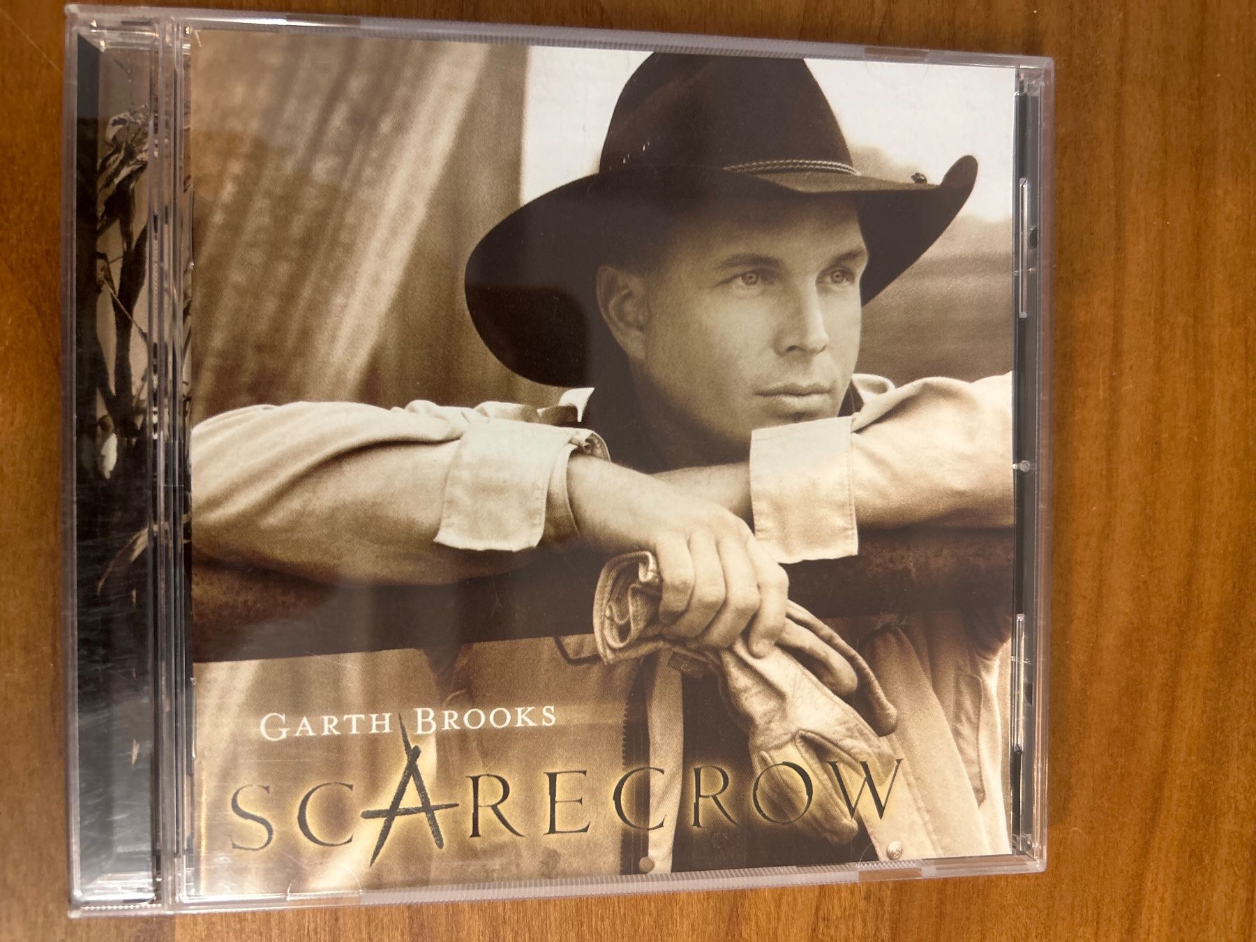 CD: Garth Brooks – Usato da Niederrohrdorf venduto da luxury100