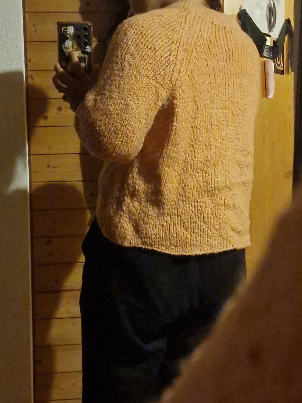 Pulls & Sweat-shirts: Pullover – D'occasion à Wil SG par zeh_pck9 2