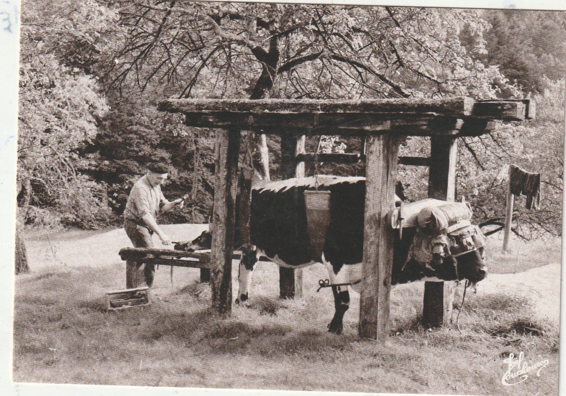 Cartoline postali: Die alten Zeiten – Usato da Lumbrein venduto da made02