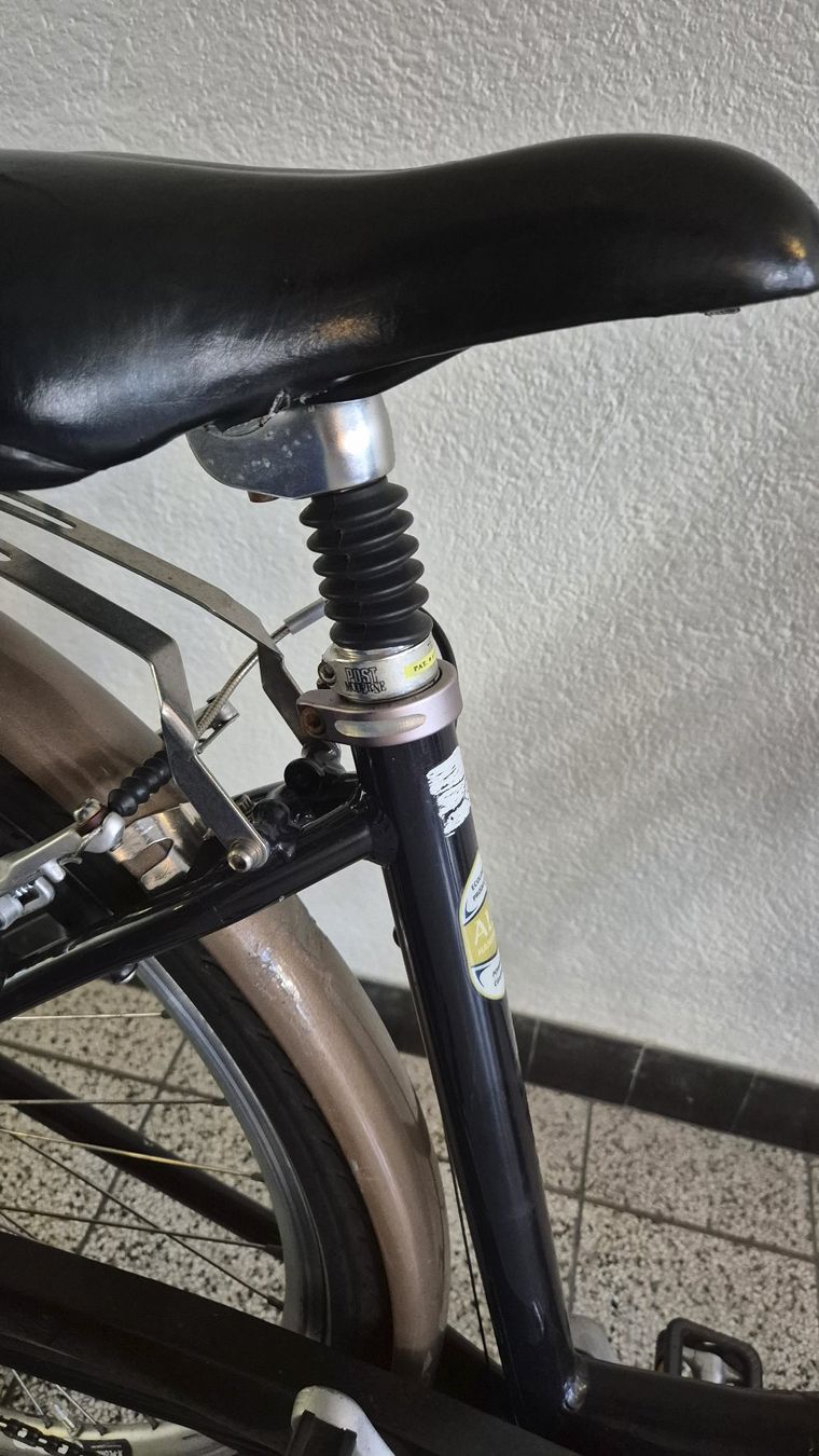 Villiger Biciclette: Velo mit tiefem Einstieg / vélo à entrée basse – Usato da Basel venduto da Cellostoffeli 5