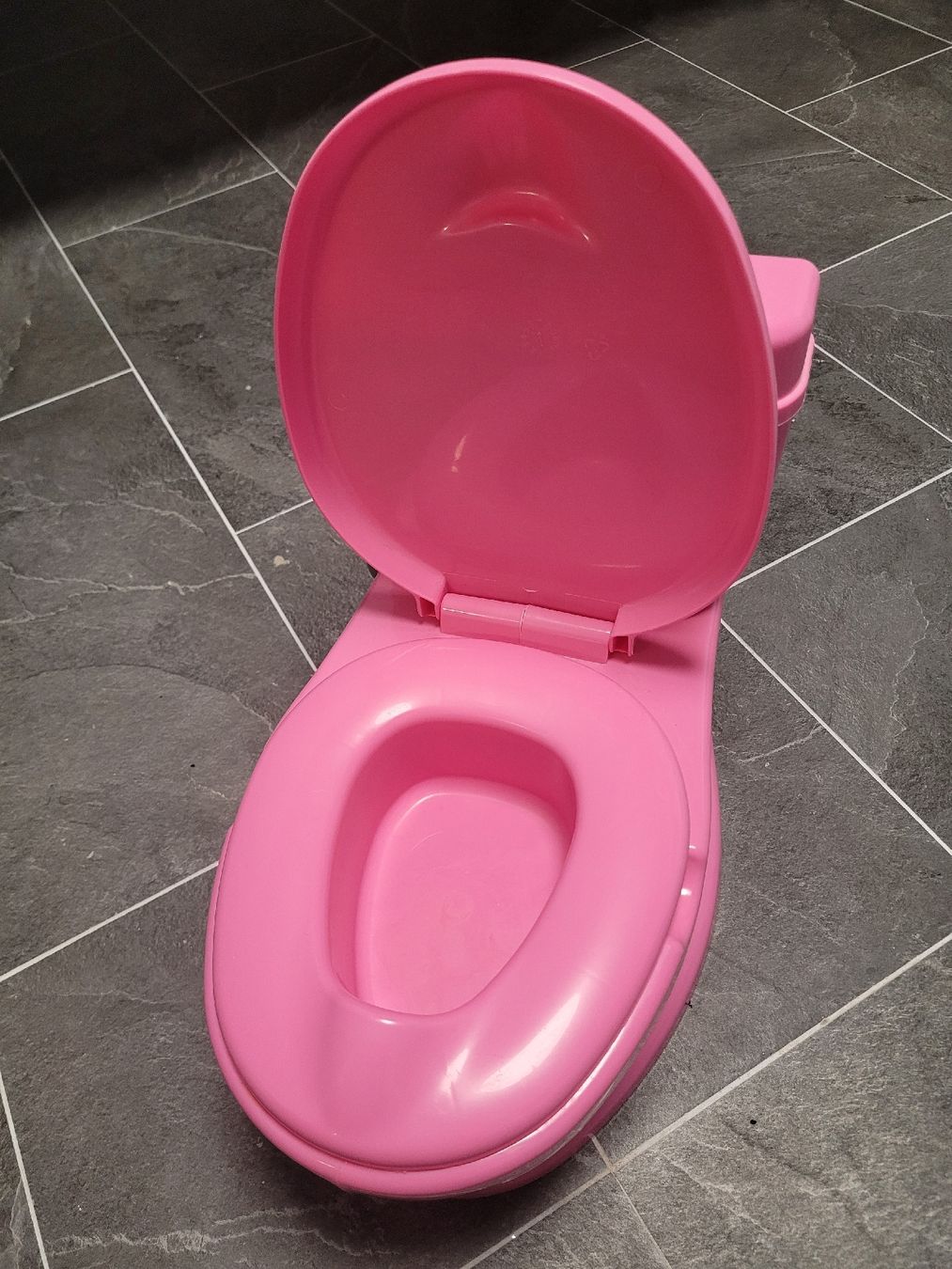 WC: Pinkes Töpfchen / Kindertoilette – Gebraucht aus Toffen von ver_x68f 6