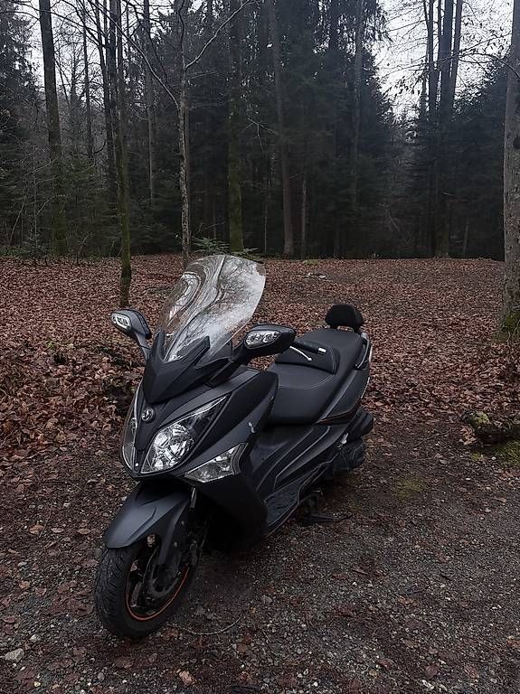 Scooter: GTS 300 ABS – Usato da La tour de peilz venduto da Loyss 1