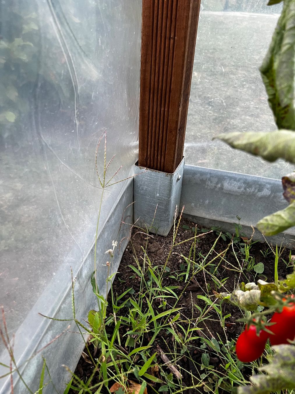 Zäune: Gartenbeet Unterstand Schneckenzaun – Gebraucht aus Winterthur von Creek3 4