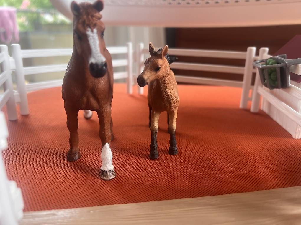 Giocattoli: Schleich Hannas Gäste Pferdekoppel – Usato da Küsnacht ZH venduto da Silkefranz