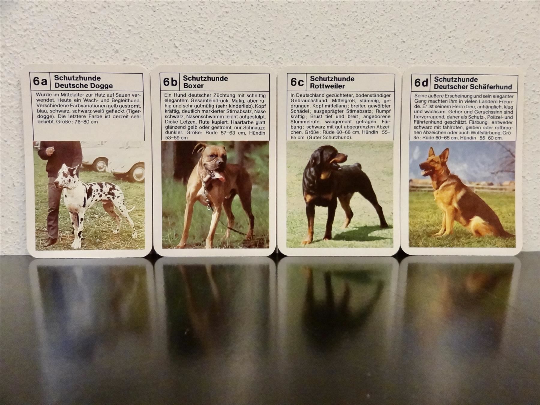 Spiele: altes Quartett TIER-QUARTETT HUNDE HUND – Gebraucht aus Kerzers von wisaundso 7