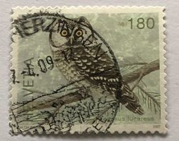 Nr. 1239 Dauermarken Einheimische Vögel Raufsskauz GESTEMPEL