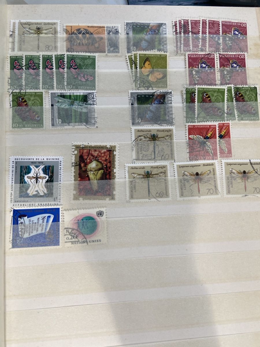 Tutti i francobolli: Stamp collection insects 2 pages – Usato da Collex venduto da RCXGJ 1