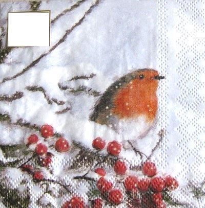 Tovaglioli: Serviette robin in snow (w495) 2Stk. – Nuovo (secondo la descrizione) da Schlatt TG venduto da kreativ-atelier