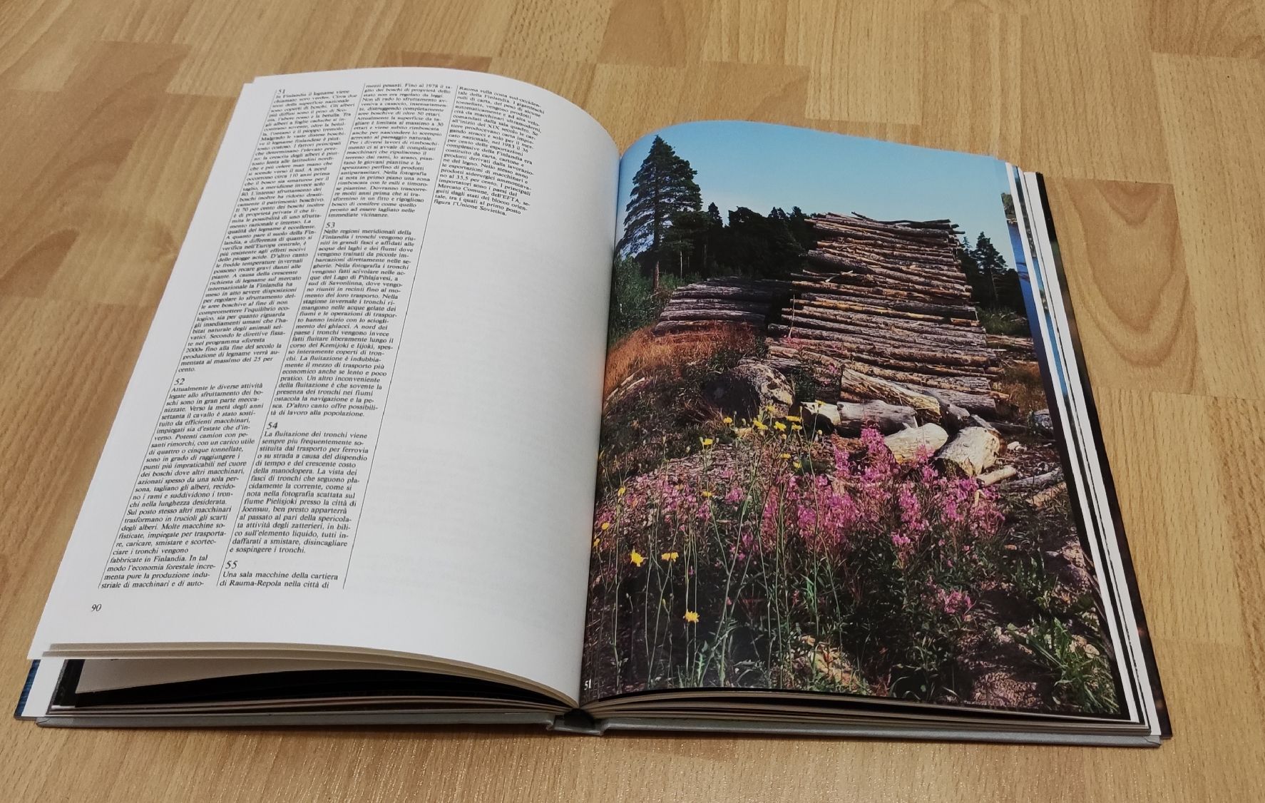 Libri: FINLANDIA – Usato da Chur venduto da Nisami 6