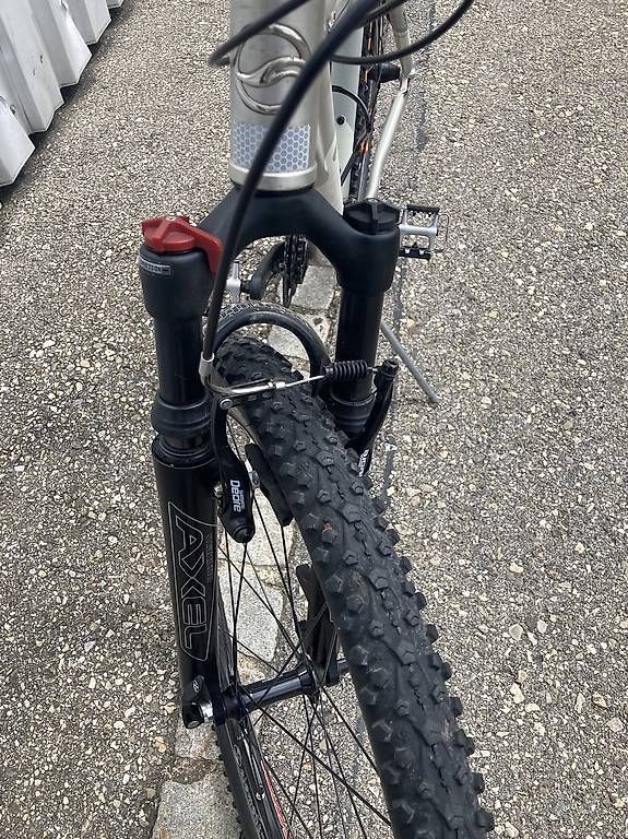 Velos: MTB Giant silber total revidiert – Gebraucht aus Reiden von Halti 3