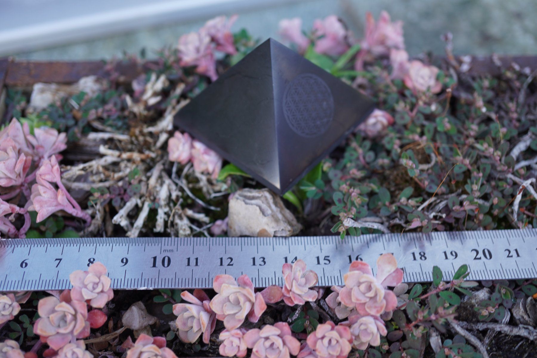 Minerali & Pietre curative: Schungit / Shungit  Pyramide    5cm Blume Dese Lebens Emblem – Nuovo e nell'imballaggio originale da Eschenbach SG venduto da topstone 3
