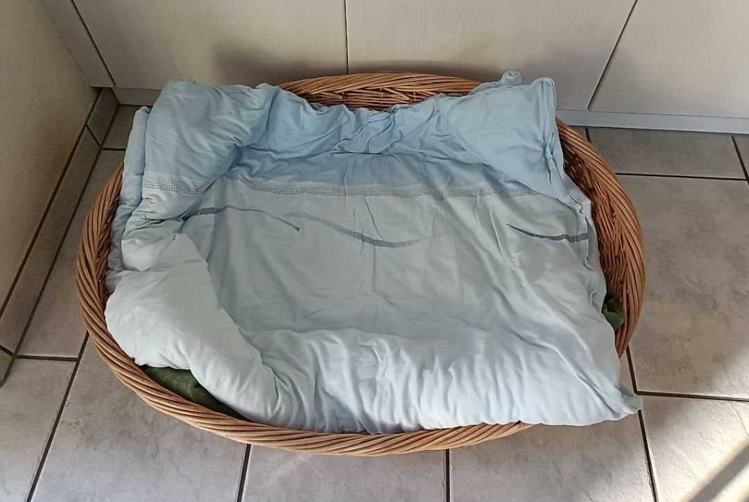 Liege- & Schlafplätze: Hundekorb Weide – Gebraucht aus Suhr von Chnuederli76