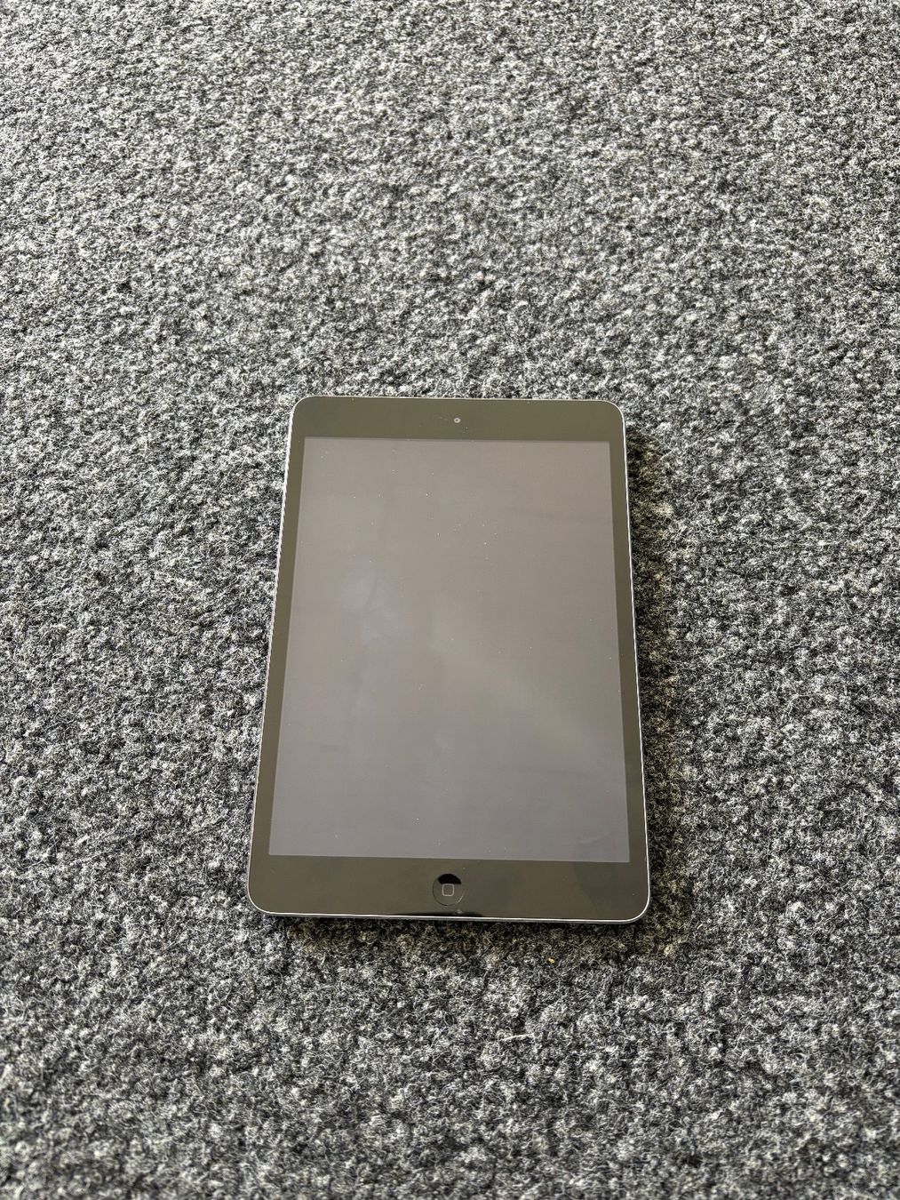 Apple Tablet PC: Apple iPad mini in Silber – Usato da Zürich venduto da inf_kj6t