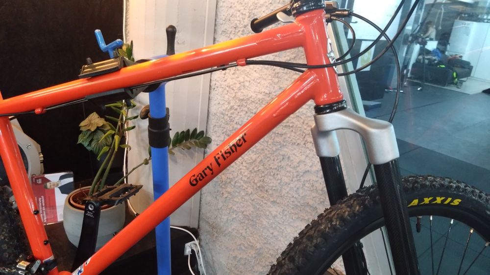 Mountainbike, Gary Fisher, Carbon, Hardtail, Special edition (Gebraucht ...