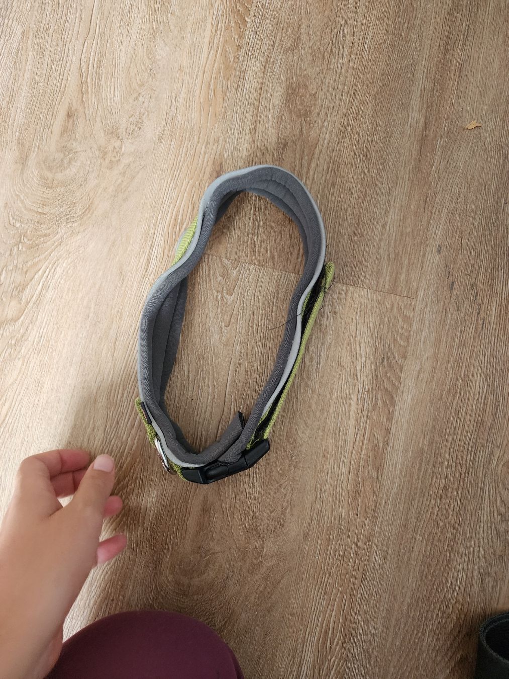 Dekobänder: Hundehalsband – Gebraucht aus Schötz von Zust