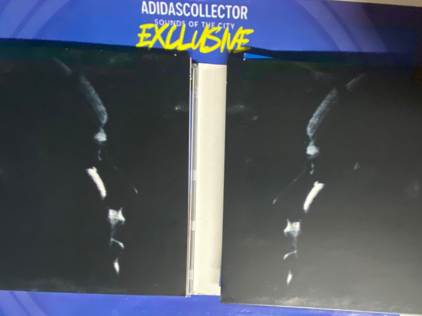 CDs: Xavier Naidoo CD/DVD – Gebraucht aus Muri b. Bern von AdidasCollector 5