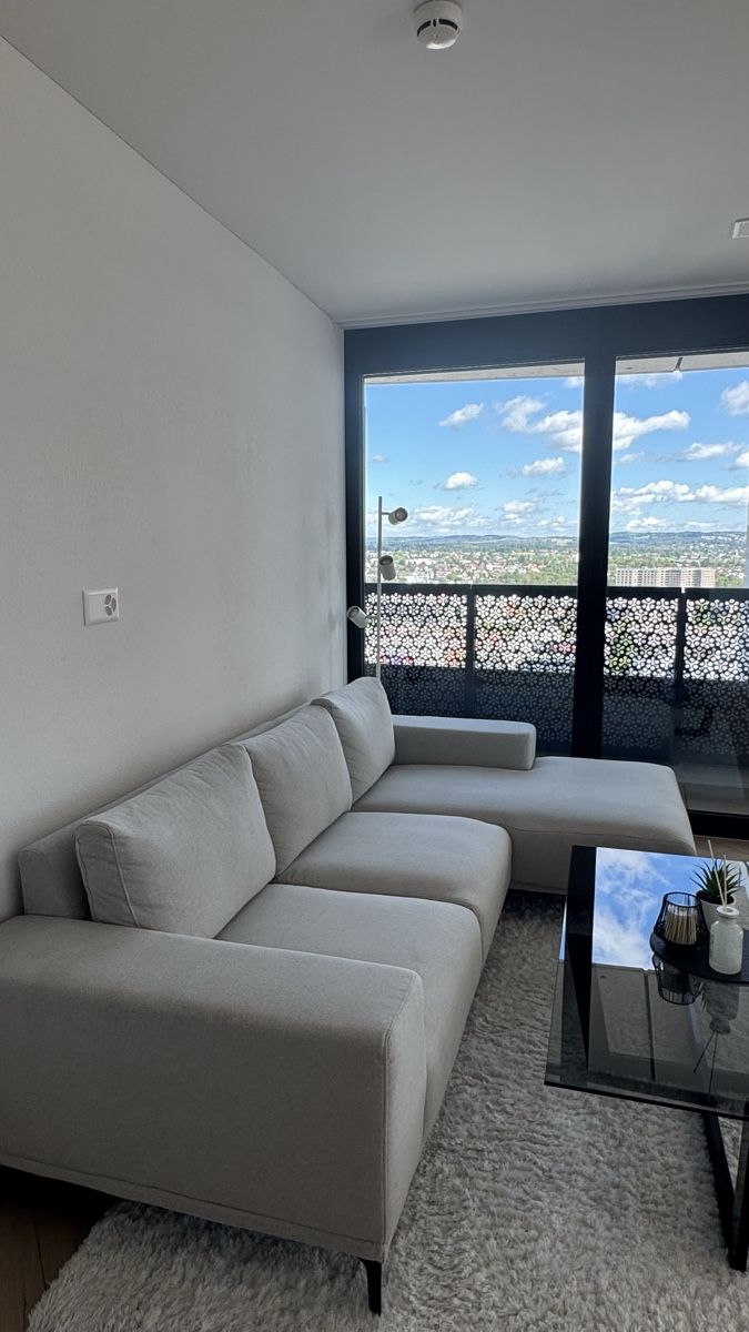 Sofas: Neuwertiges Ecksofa – stylisch & bequem – Gebraucht aus Dübendorf von mal_dn92 1