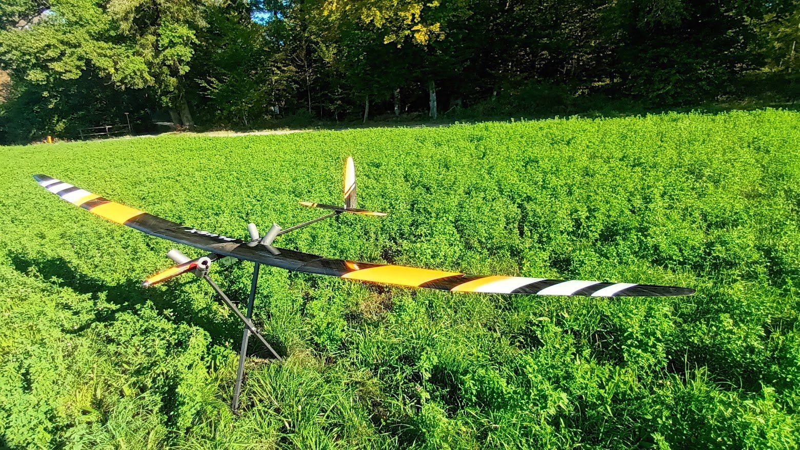 Modellismo RC: High-End-Segelflugmodell--PlusX-F5J – Usato da Nänikon venduto da vgc1 1