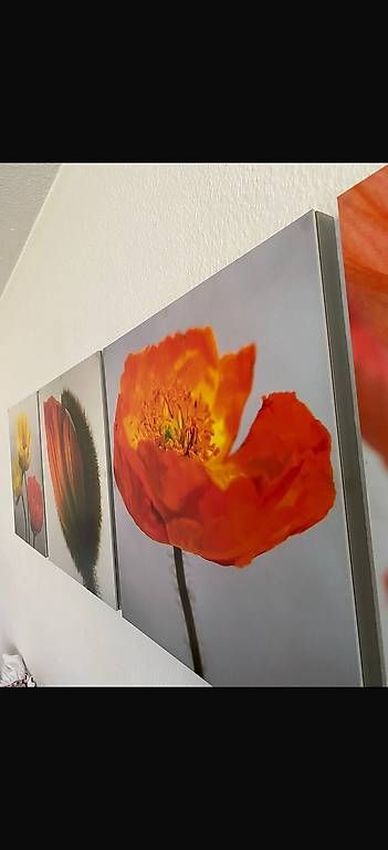 Foto & Immagini: Bilder Magnet mit Blume – Usato da Zürich venduto da pinish 3