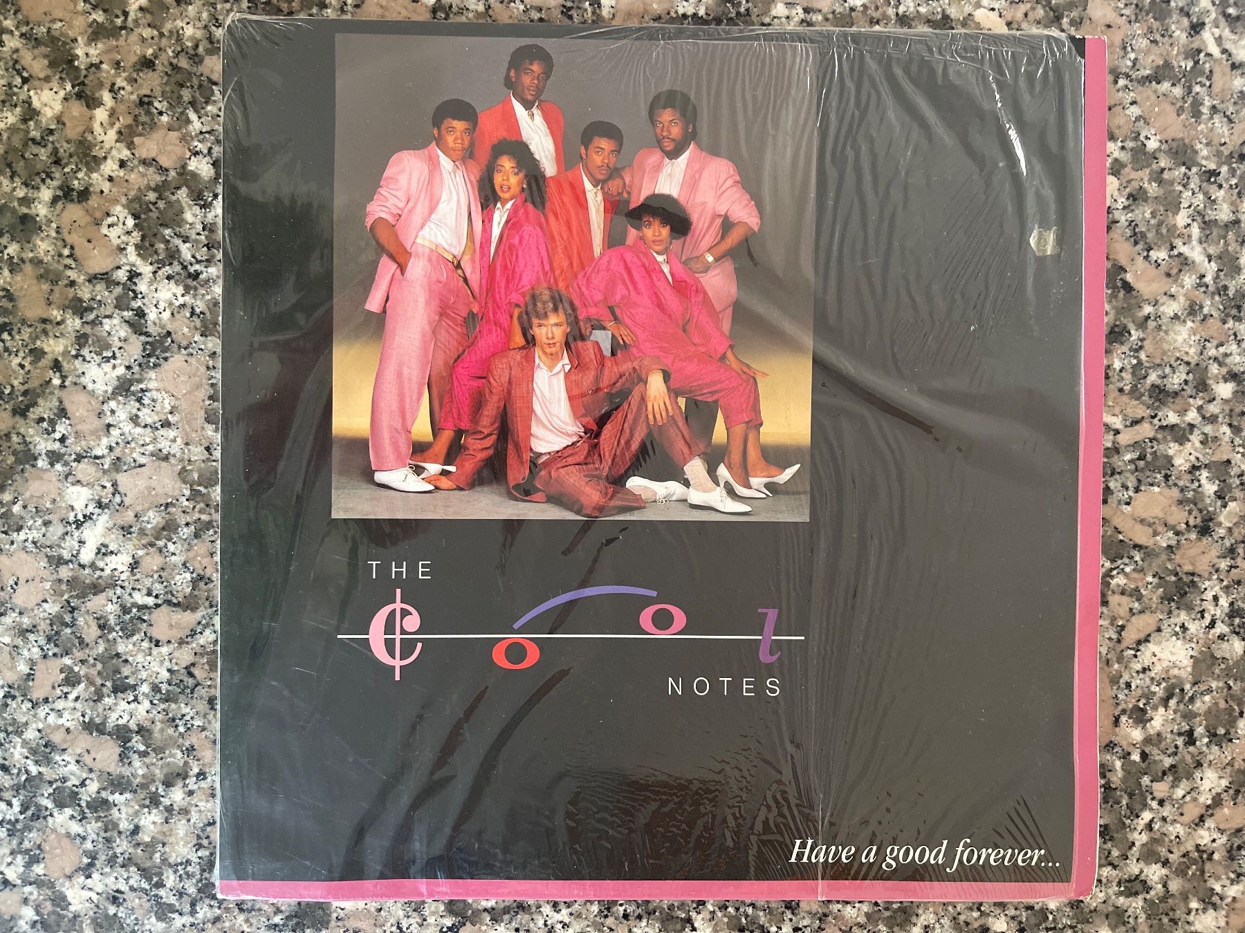 Dischi in vinile: P19/The Cool Notes – Have A Good Forever – Usato da Frutigen venduto da Philippe_jsp