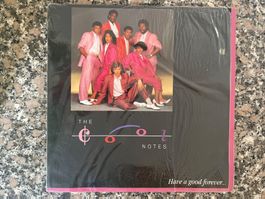 P19/The Cool Notes – Have A Good Forever