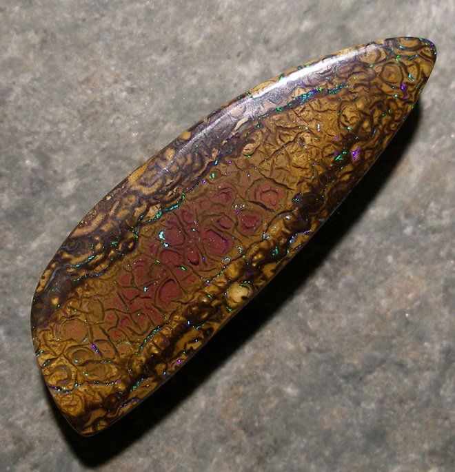 Edelsteine: theOPAL *** YOWAH BOULDER MATRIX OPAL 18,69ct *** – Neu und originalverpackt aus Ebnat-Kappel von theOPAL 2
