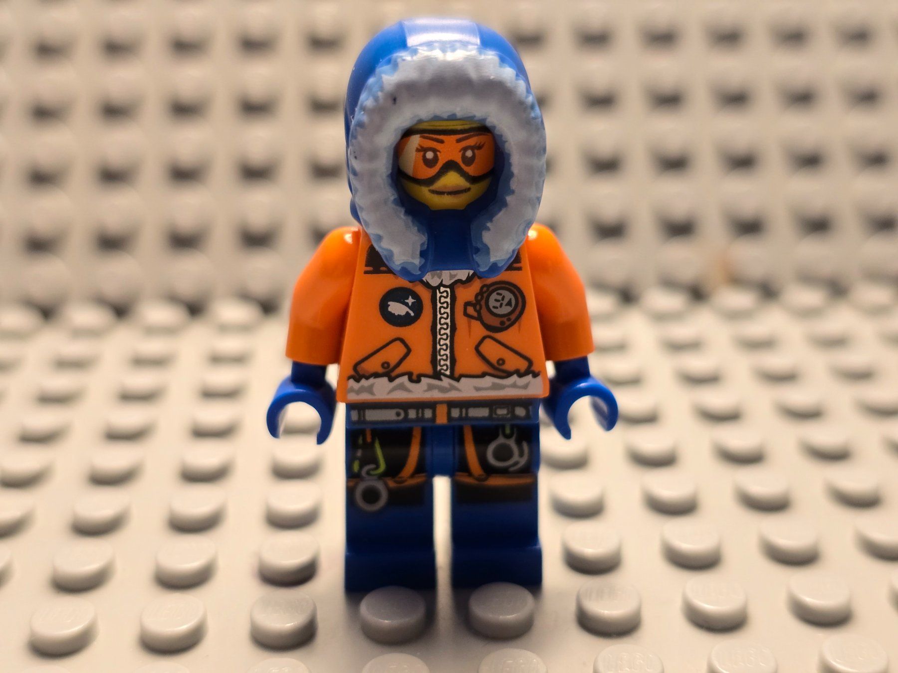 Lego Kit di costruzioni: Lego Arctic (cty0492) – Usato da Basel venduto da Swi-7621