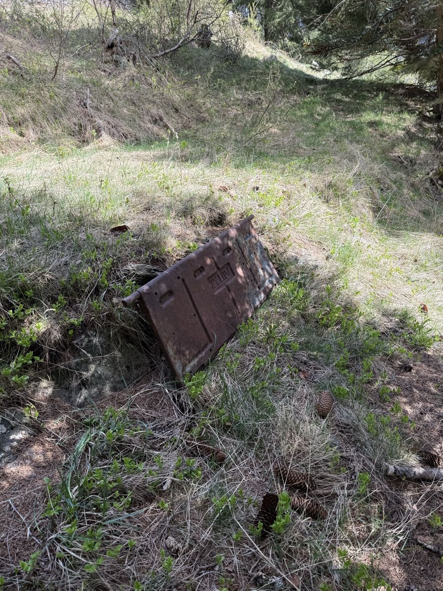 Jeep Alle Autoersatzteile: Originale Heckklappe für Willys Jeeps – Defekt aus Quinto von Ticino_69 3