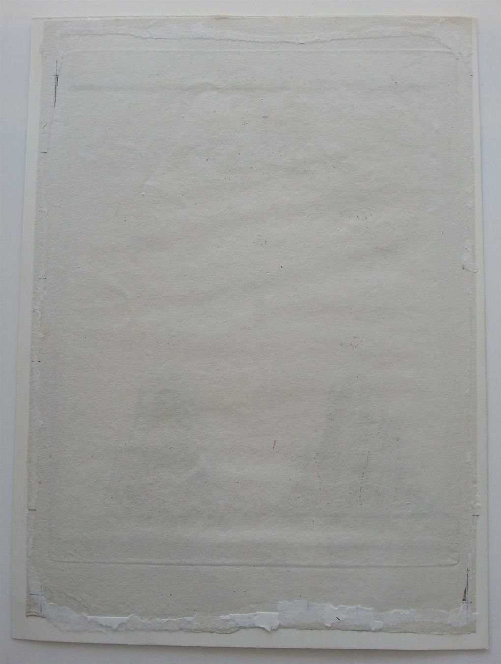Incisioni: Kupferstich Termiten, J. X. Schmuzer, um 1790 – Usato da Oberriet SG venduto da ganesh435 3