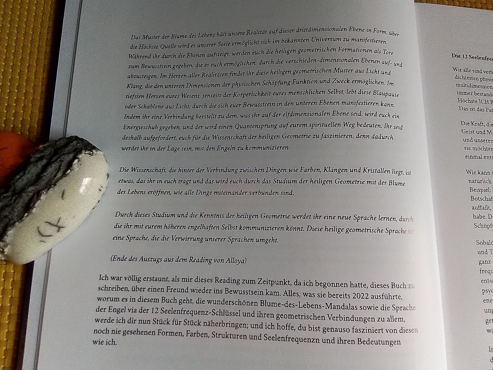 Libri: Die 12 Seelen - Frequenz - Schlüssel – Nuovo e nell'imballaggio originale da Rebstein venduto da Buchsi03 6